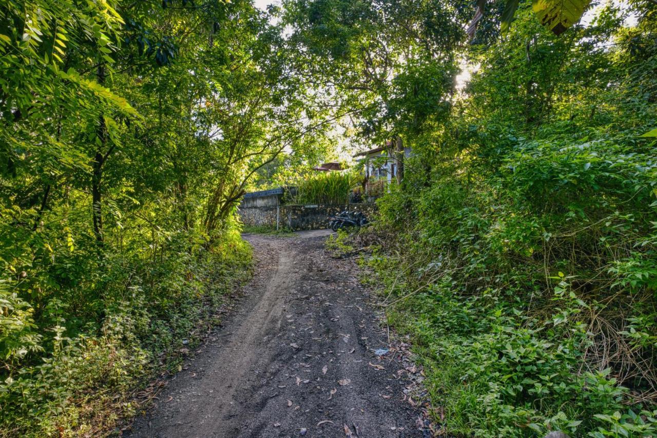 Toyapakeh Le Green Village מראה חיצוני תמונה